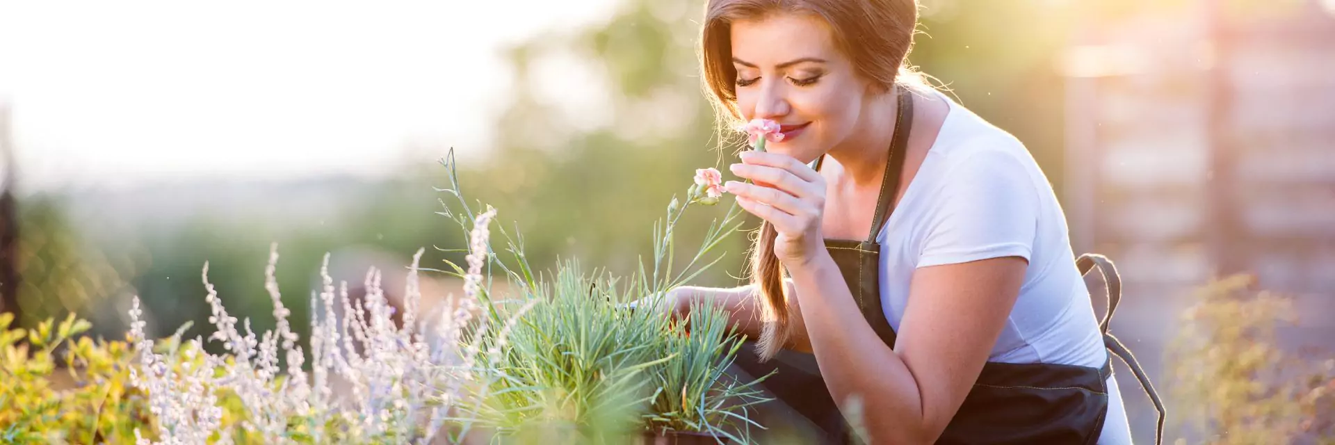 Study Gardening Online learndirect